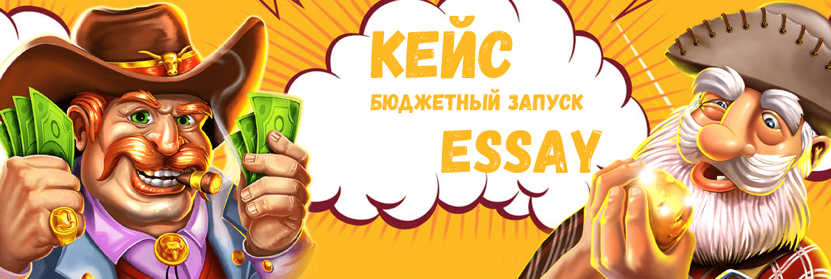 essay кейс баннер